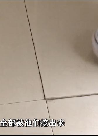 DƬ